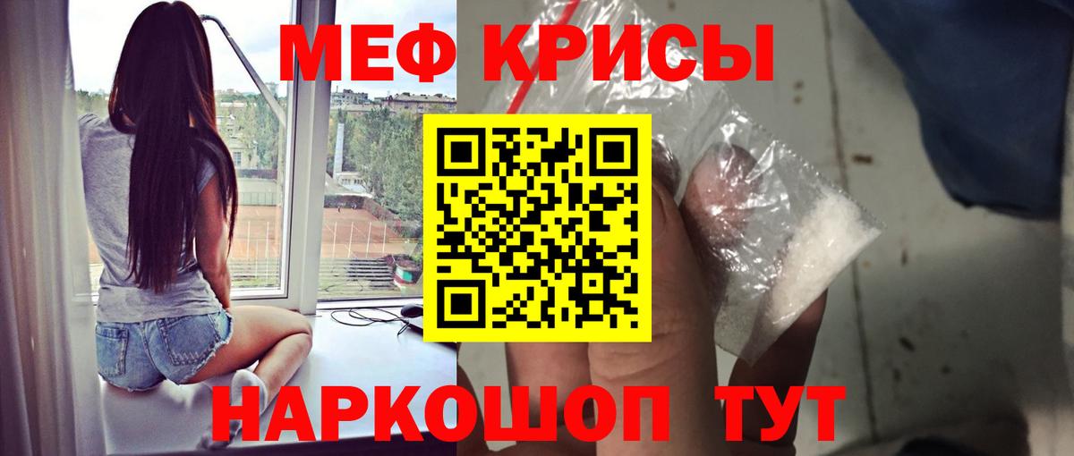 МЕФ  Дубна