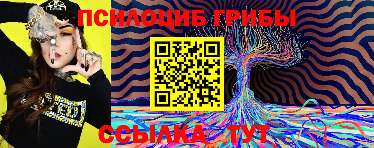 хочу наркоту  Вход с VPN  Дубна  Псилоцибиновые грибы мухоморы 