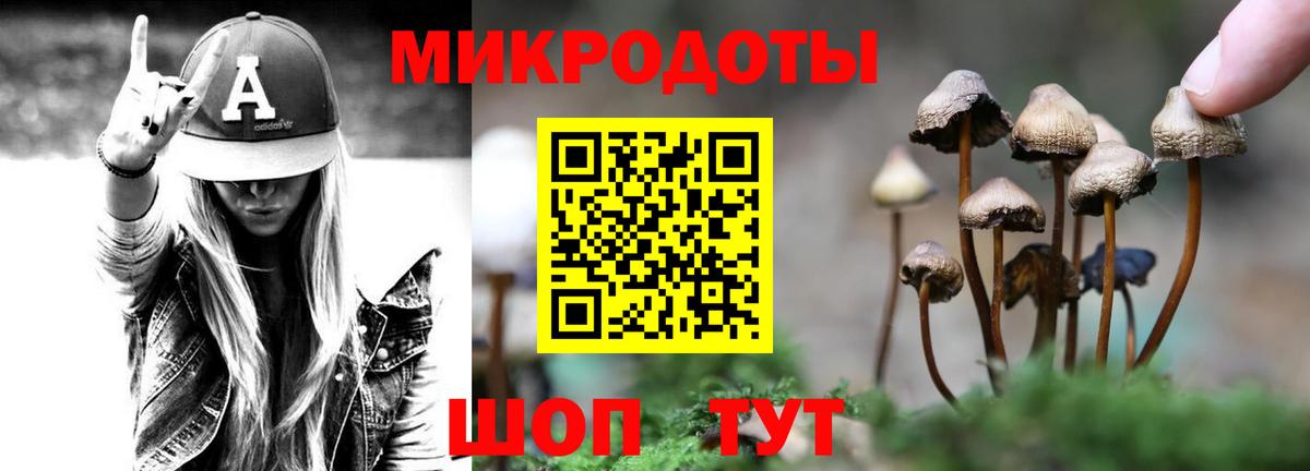 Галлюциногенные грибы Magic Shrooms Дубна